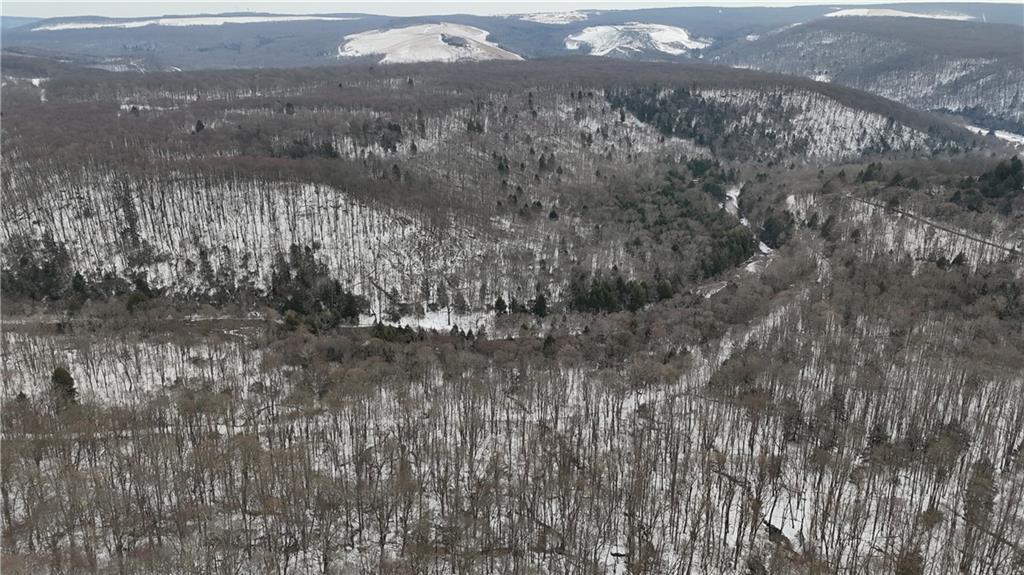 0 Rexis Road Vintondale, PA 15961 - Photo 2 of 40