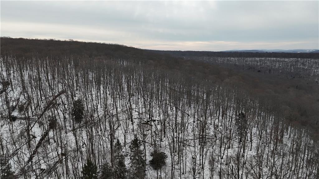 0 Rexis Road Vintondale, PA 15961 - Photo 29 of 40