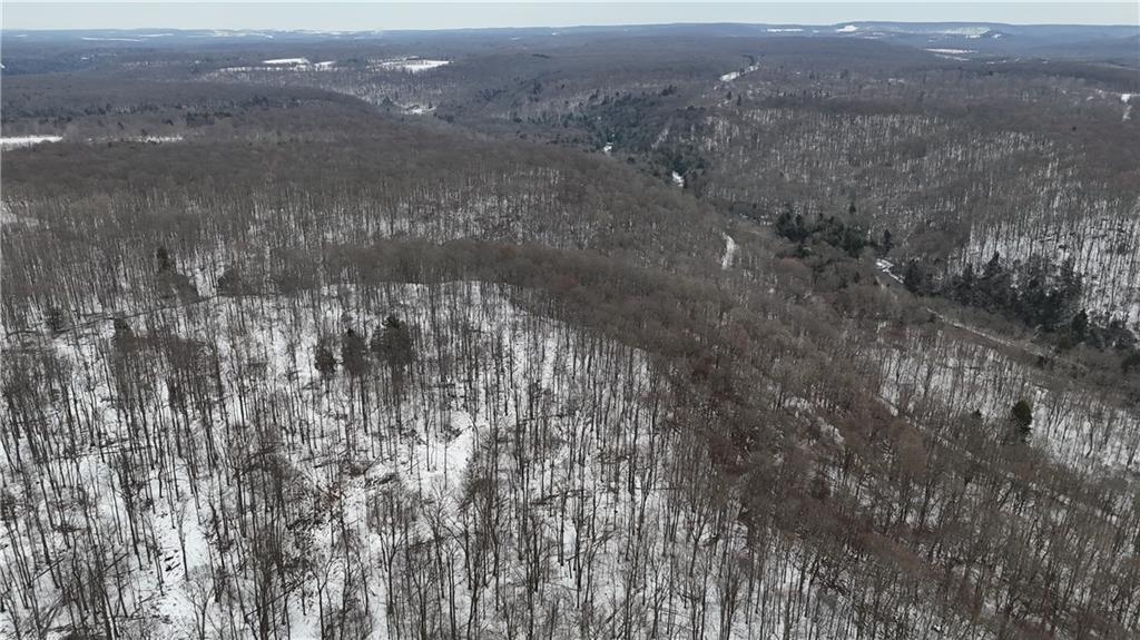 0 Rexis Road Vintondale, PA 15961 - Photo 3 of 40