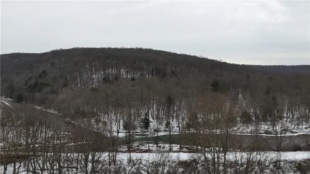 $900,000 | 0 Rexis Road, Vintondale, PA 15961