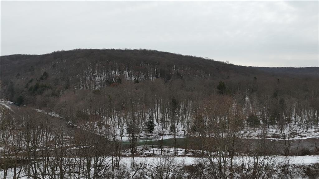 0 Rexis Road Vintondale, PA 15961 - Photo 34 of 40