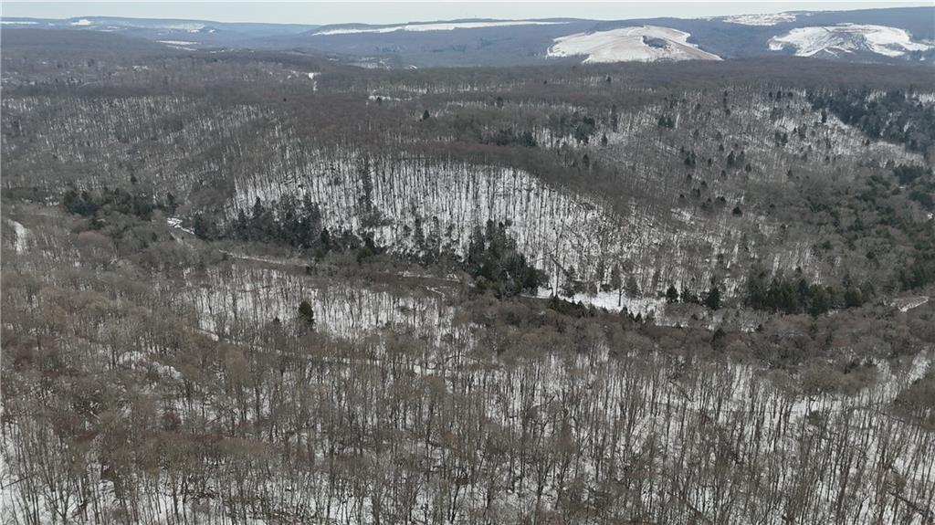 0 Rexis Road Vintondale, PA 15961 - Photo 4 of 40