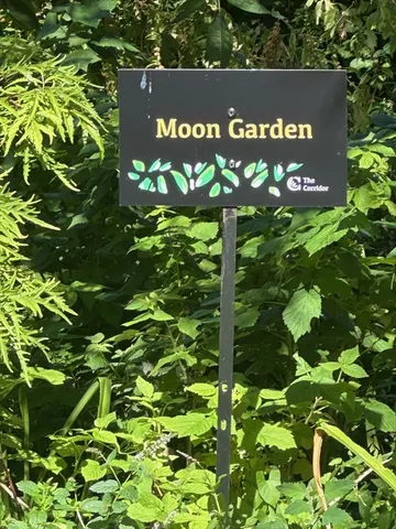 $6,495 | 12 Follen Street, Unit ONEA, Boston, MA 02116