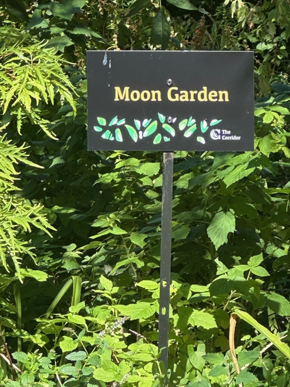 12 Follen Street, Unit ONEA Boston, MA 02116 - Photo 22 of 23 a sign that is sitting in a tree