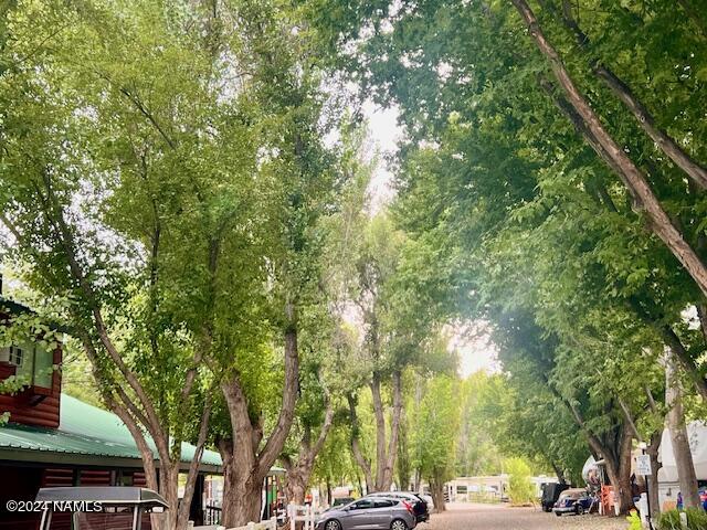 17550 South Munds Ranch Road, Unit 234 Munds Park, AZ 86017 - Photo 21 of 33 beautiful tree lined streets