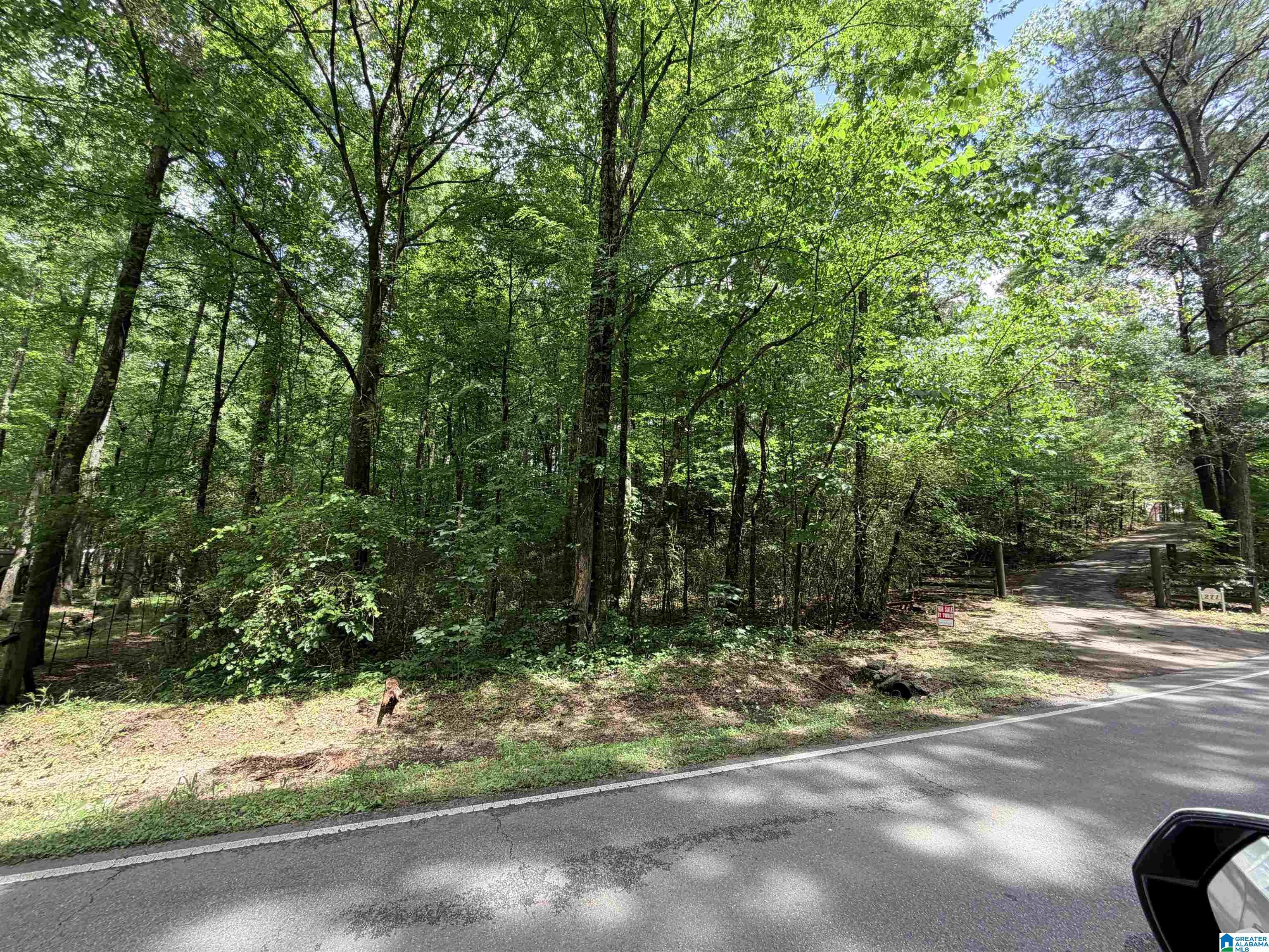 1 Deans Ferry Road, Unit 1 Hayden, AL 35079 - Photo 3 of 3
