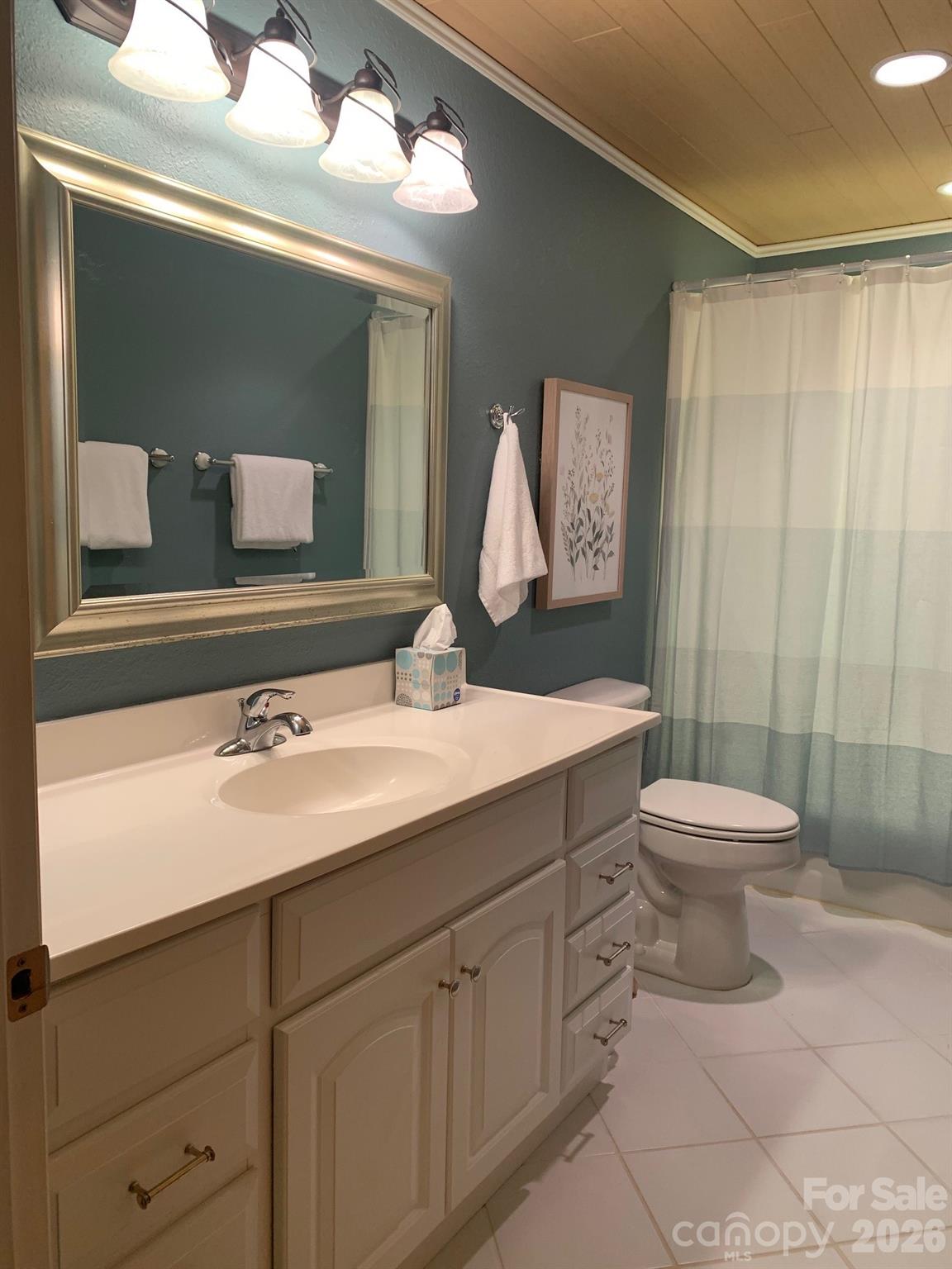 1209 McKinney Gap Road Mars Hill, NC 28754 - Photo 21 of 37