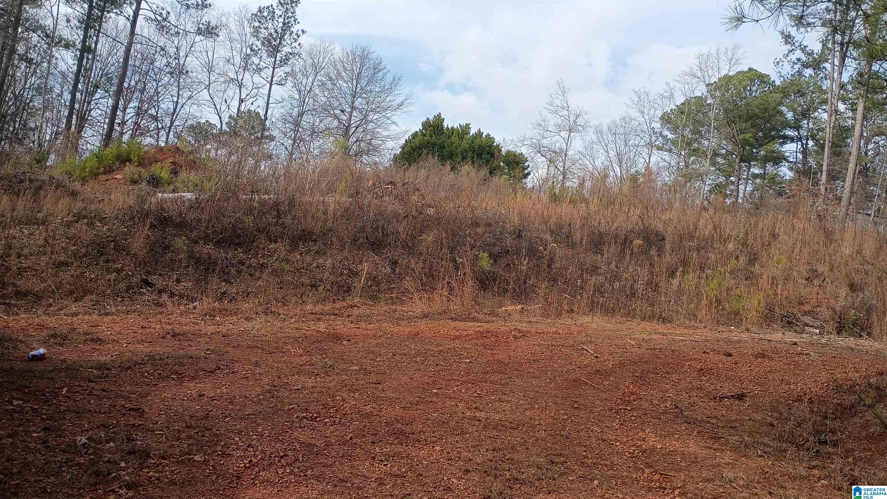 Foster Circle Lineville, AL 36266 - Photo 13 of 14