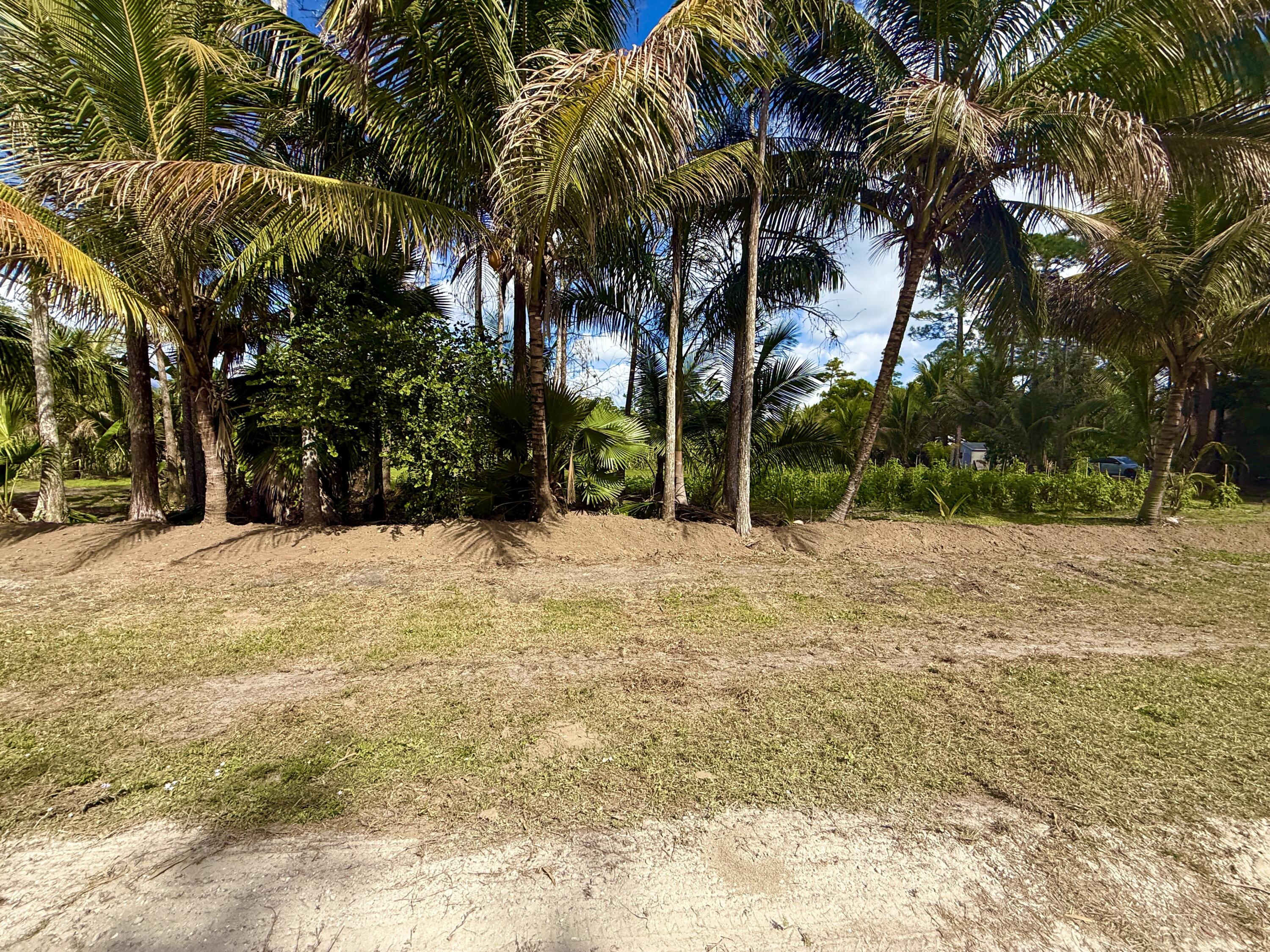 17853 60th Loxahatchee, FL 33470 - Photo 13 of 37 a view of road space with trees