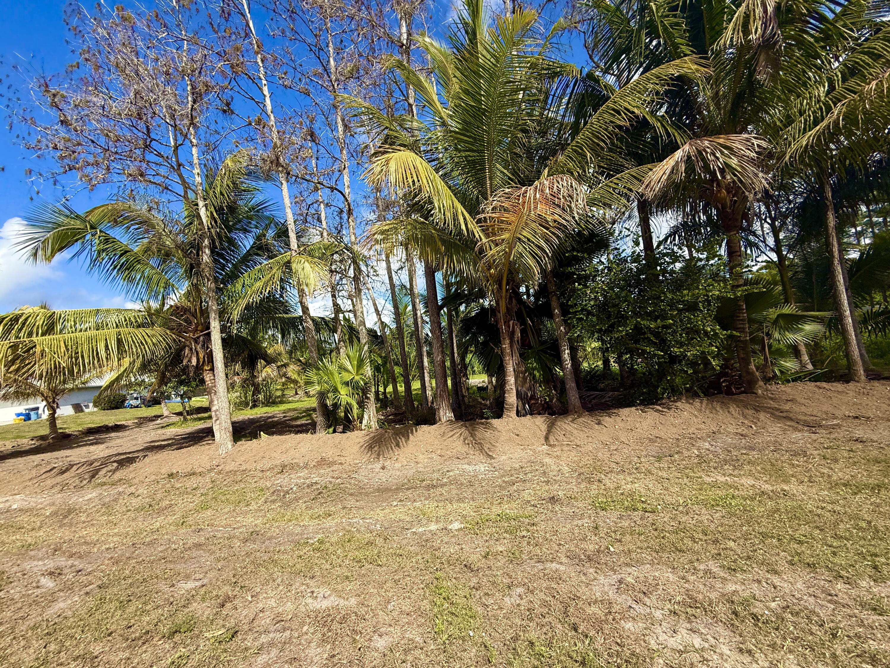 17853 60th Loxahatchee, FL 33470 - Photo 15 of 37 a backyard of a house with lots of green space