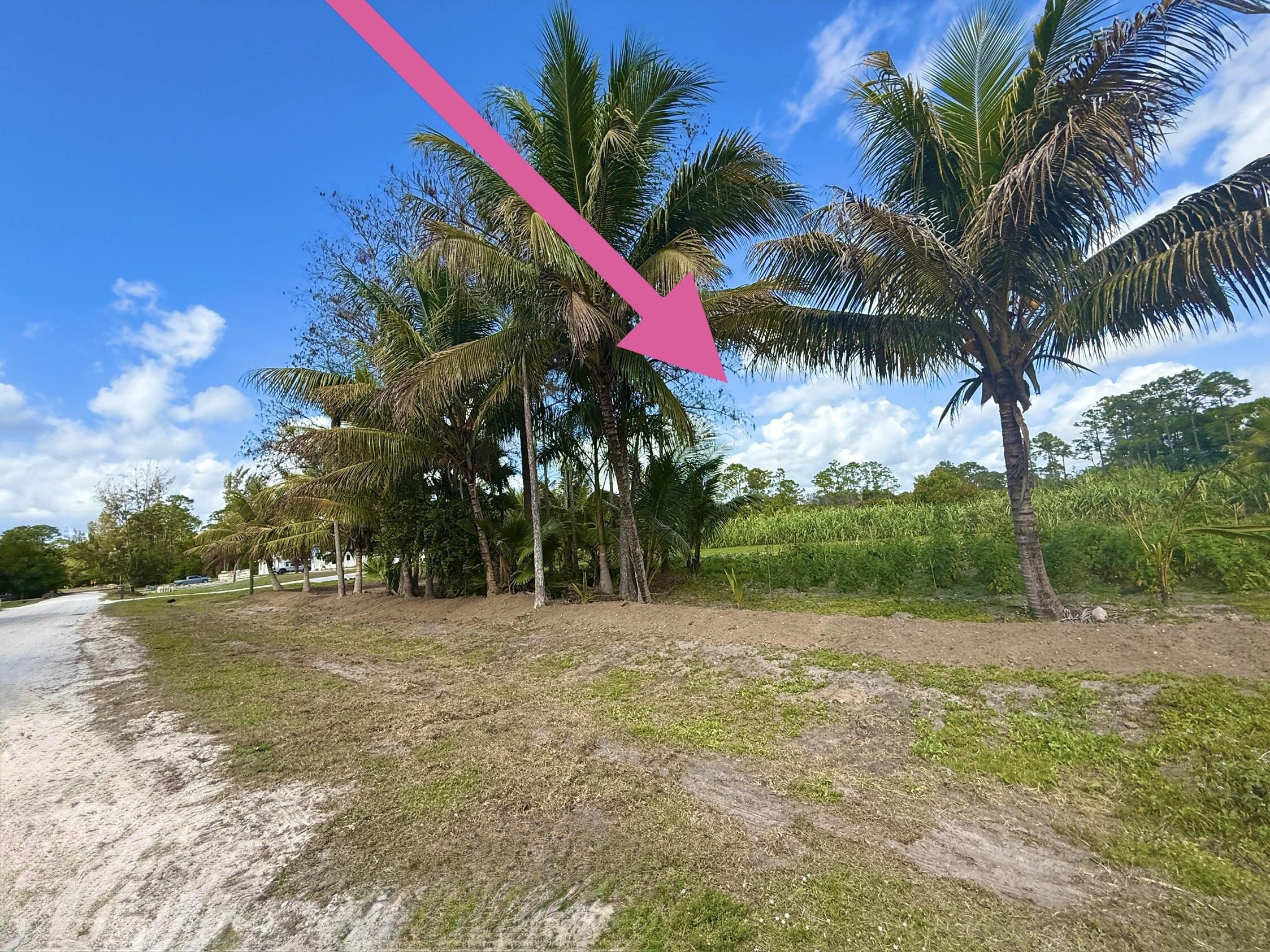 17853 60th Loxahatchee, FL 33470 - Photo 2 of 37 a view of outdoor space with swimming pool