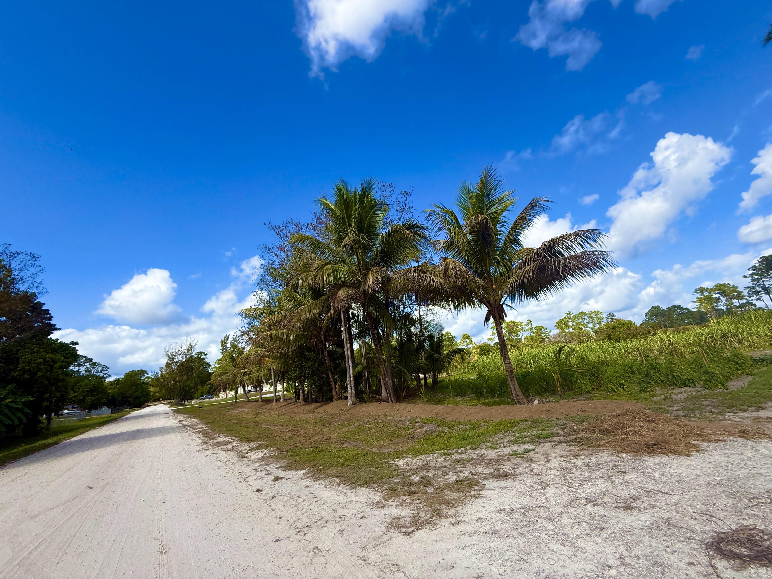 17853 60th Loxahatchee, FL 33470 - Photo 23 of 37 a view of a backyard of a house