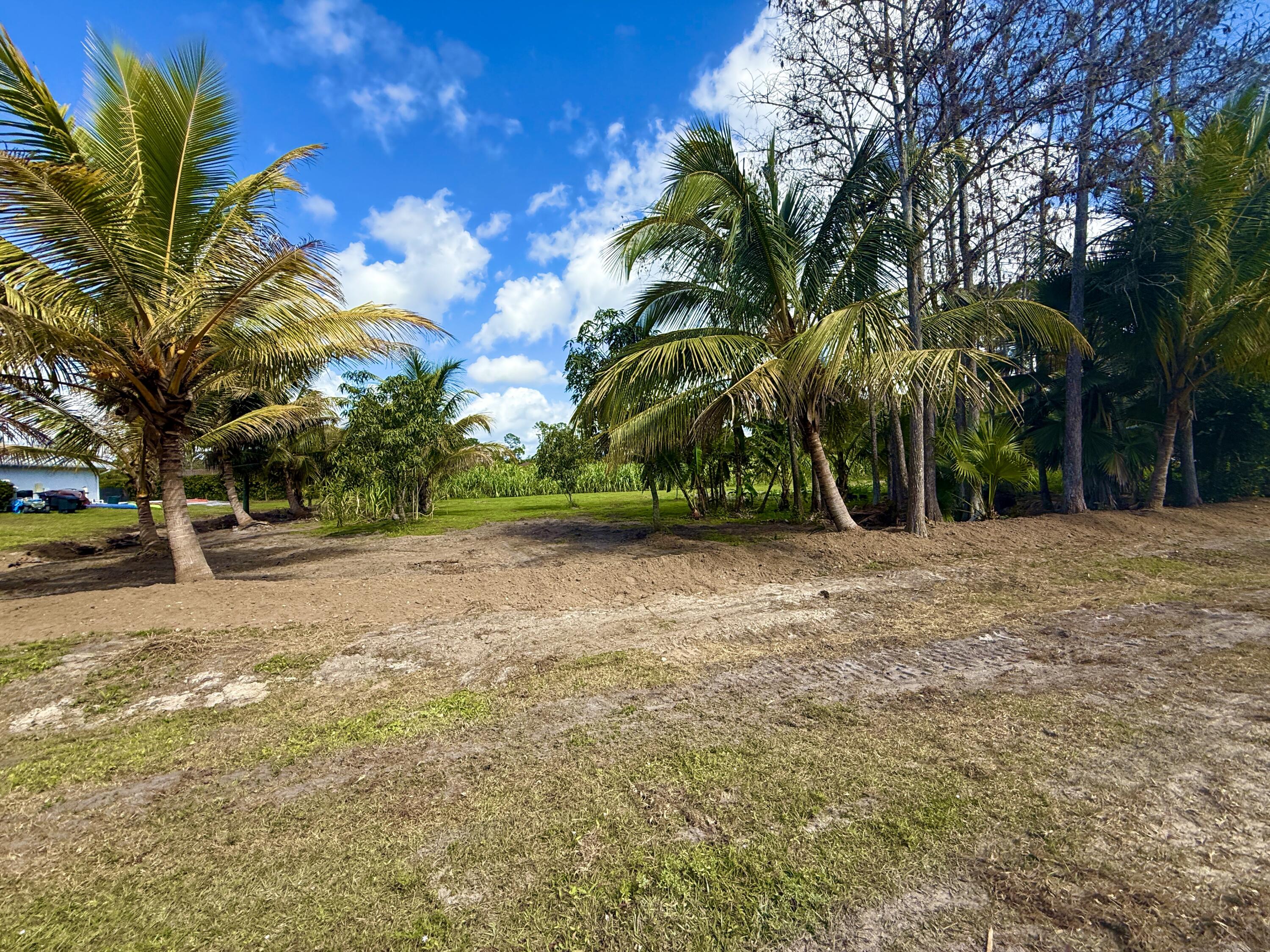17853 60th Loxahatchee, FL 33470 - Photo 7 of 37 a view of backyard space and trees