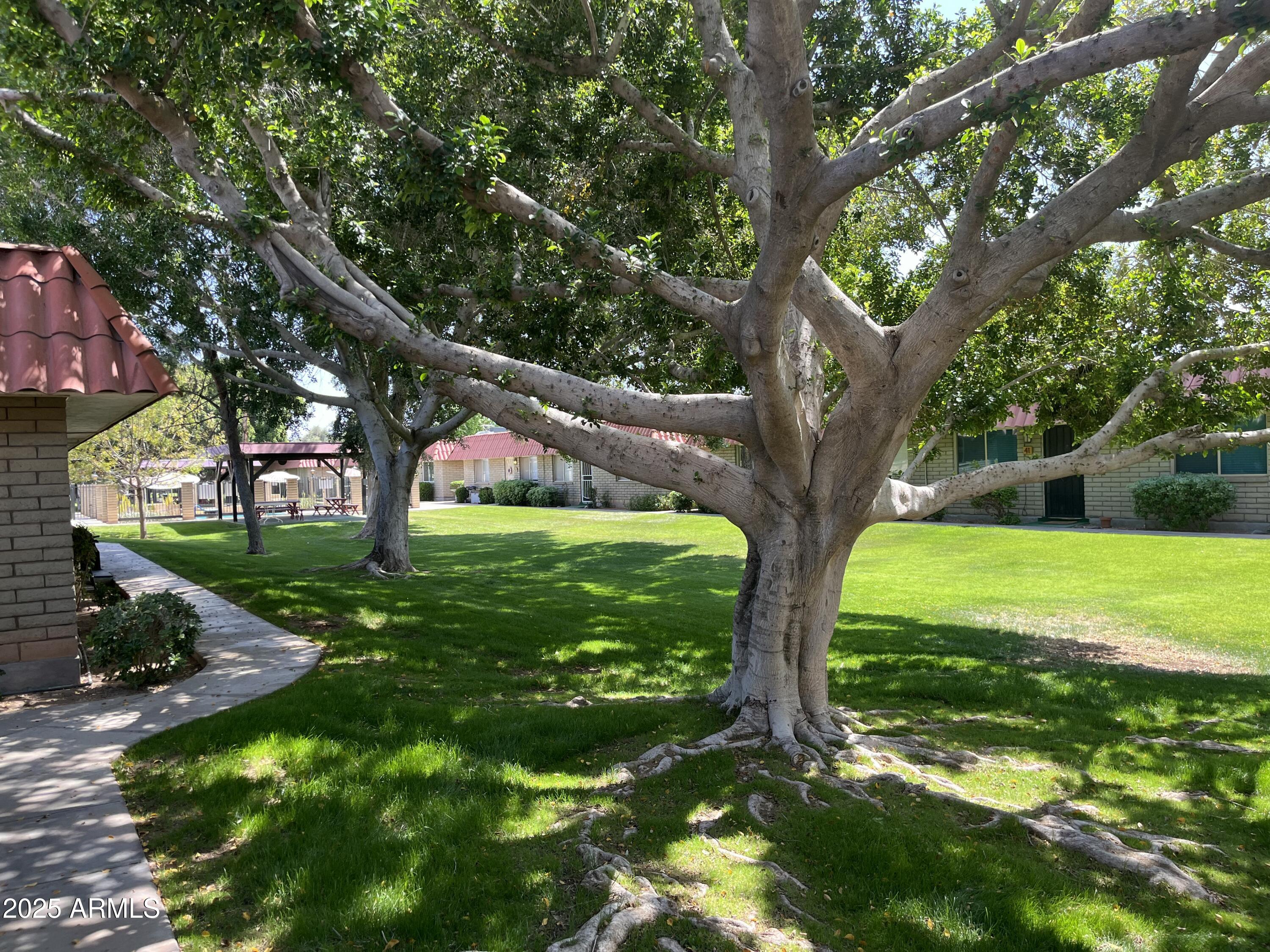 141 North Date, Unit 7 Mesa, AZ 85201 - Photo 12 of 15
