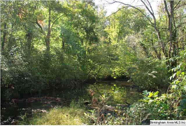 495 Jackson Taylor Road Ashville, AL 35953 - Photo 25 of 28