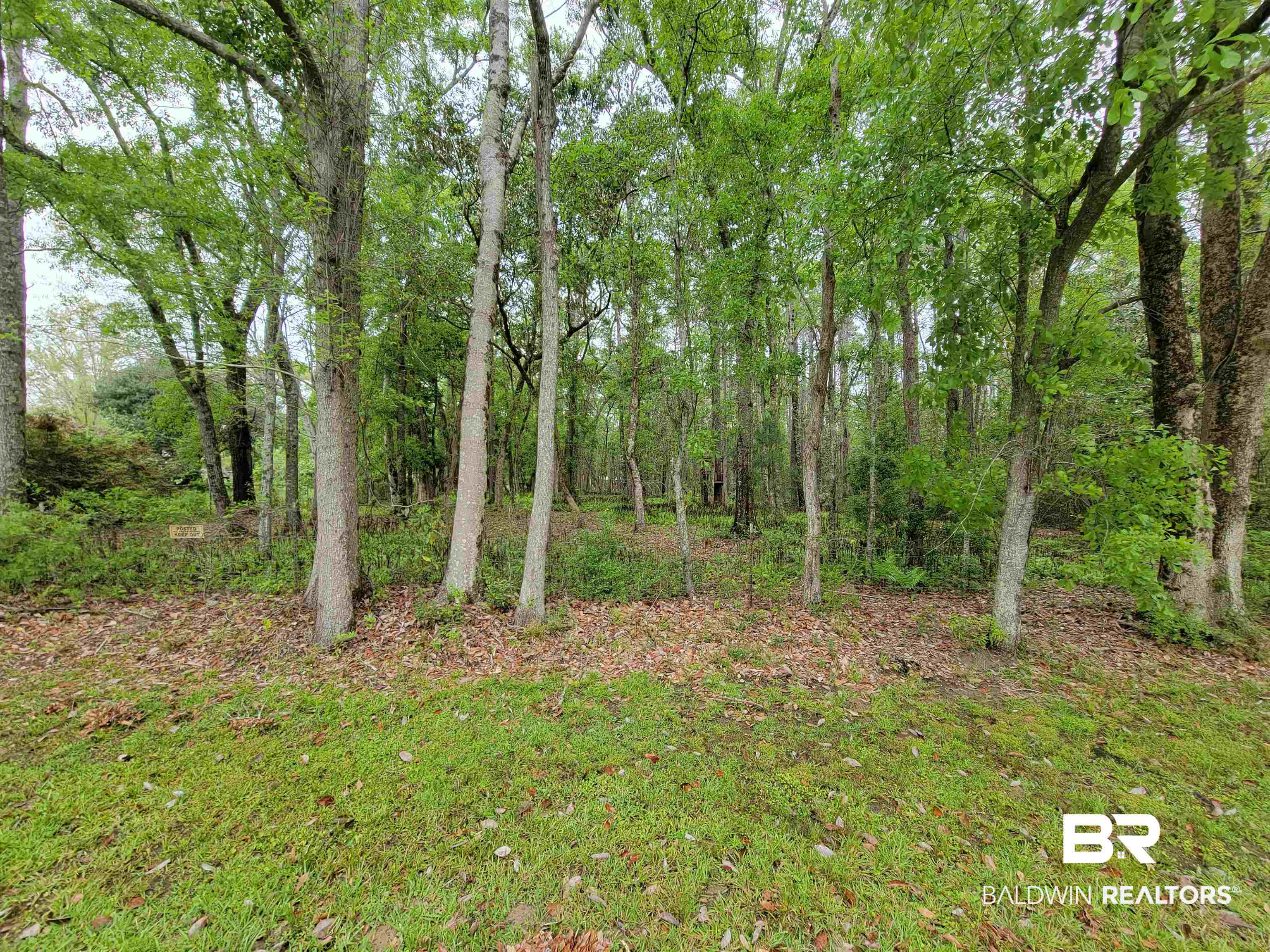10 County Road Foley, AL 36535 - Photo 2 of 17 Gallery Image 2