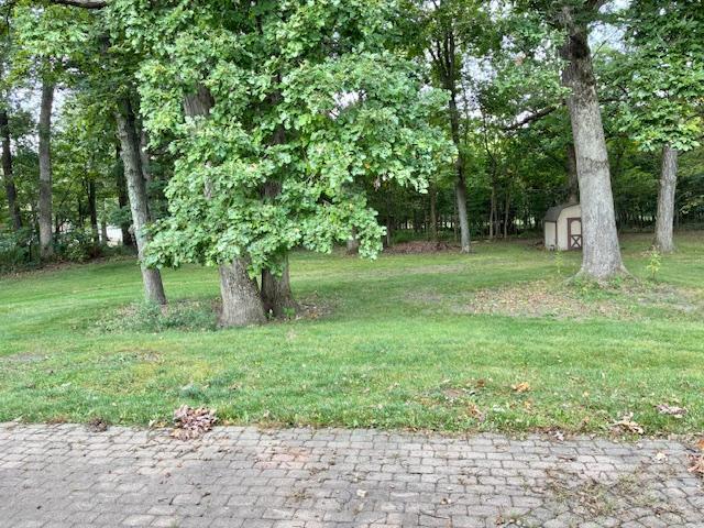 24360 South Timberline Trail Crete, IL 60417 - Photo 24 of 25 a fire hydrant in the middle of a field