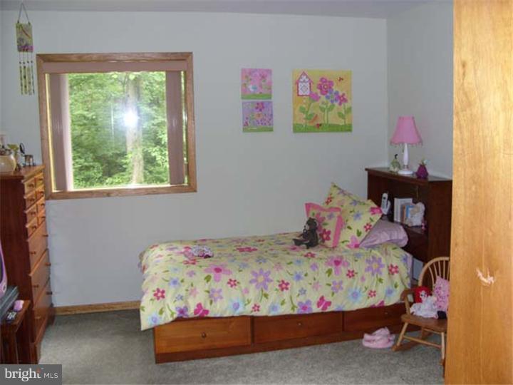 1779 Orlando Road Pottstown, PA 19464 - Photo 10 of 16 Gallery Image 10