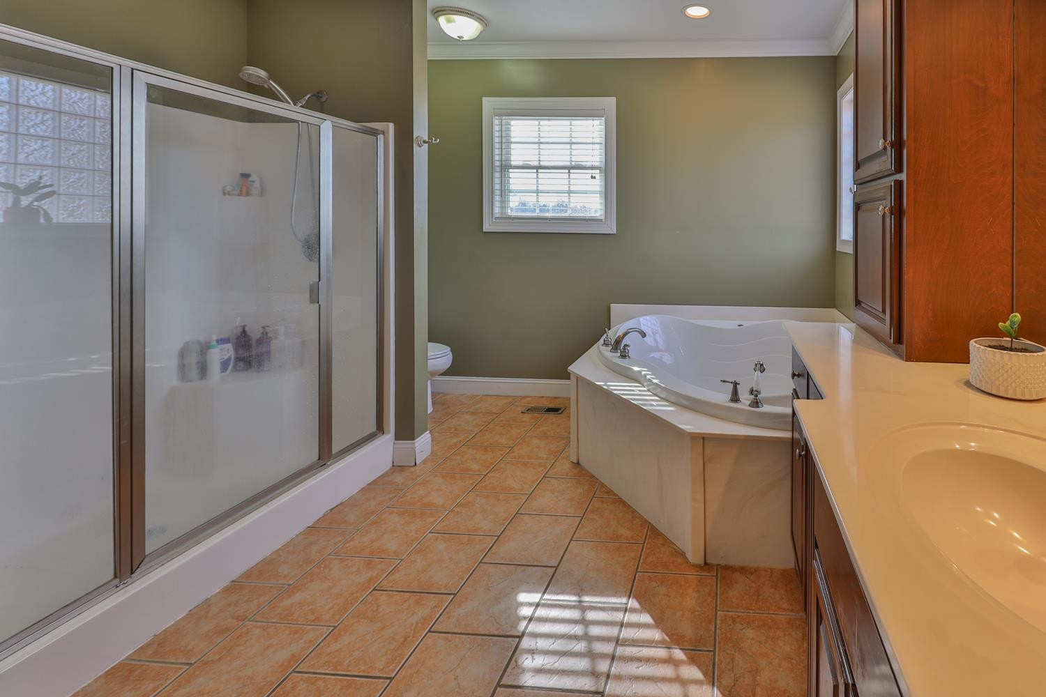 1729 Tumbling Creek Road Gleason, TN 38229 - Photo 19 of 41 Photo 19
