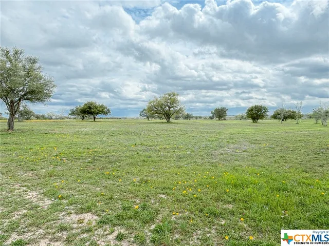 a view of a green field with lots of bushes