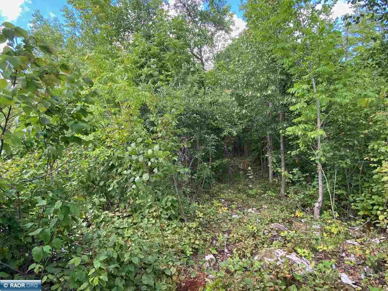 Tbd Lot 10 Wilderness Way Road Orr, MN 55771 - Photo 22 of 26 Gallery Image 22