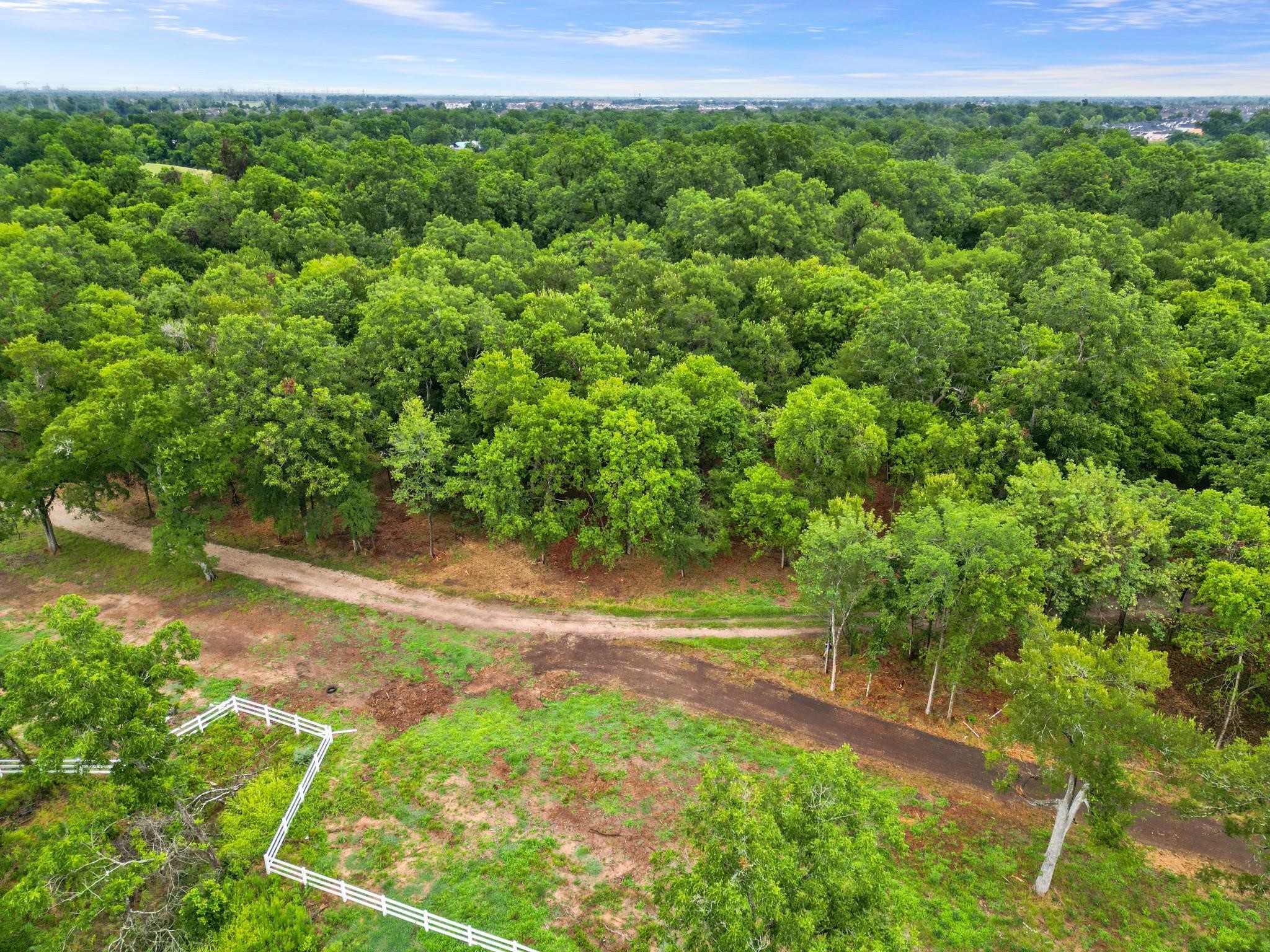 2120 Hagerson Road Sugar Land, TX 77479 - Photo 3 of 11 a view of a yard with a tree