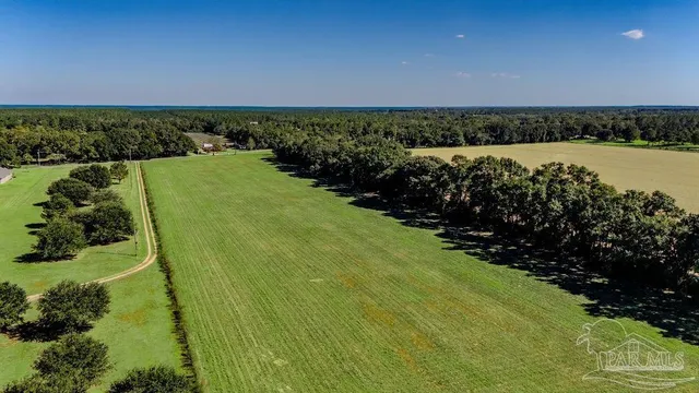 a view of a pathway both side of grassy field