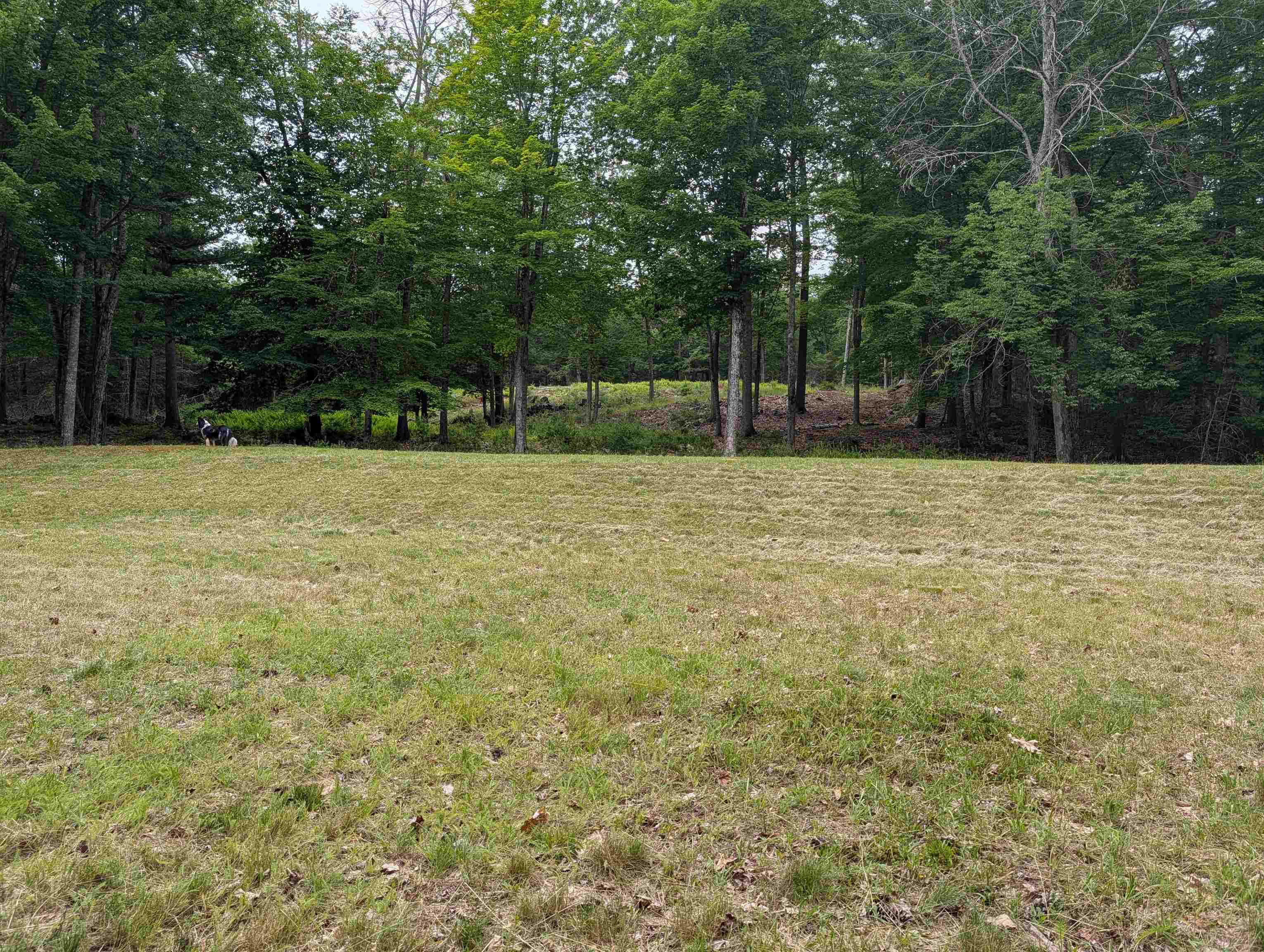 70 High Ridge Road Moultonborough, NH 03254 - Photo 27 of 37