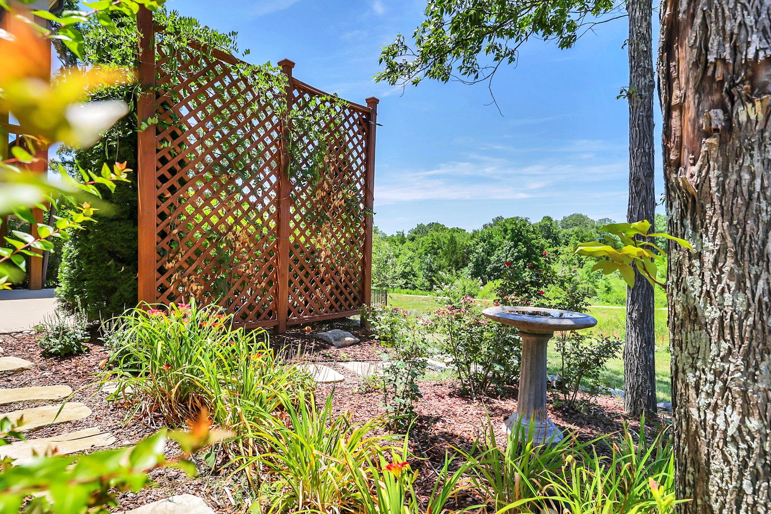 1146 Batbriar Road Murfreesboro, TN 37128 - Photo 55 of 56 a view of a garden with plants