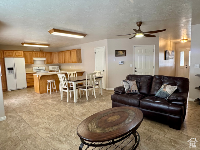 445 Topaz Boulevard, Unit 10 Delta, UT 84624 - Photo 5 of 28 Living room with a ceiling fan, a textured ceiling, and baseboards