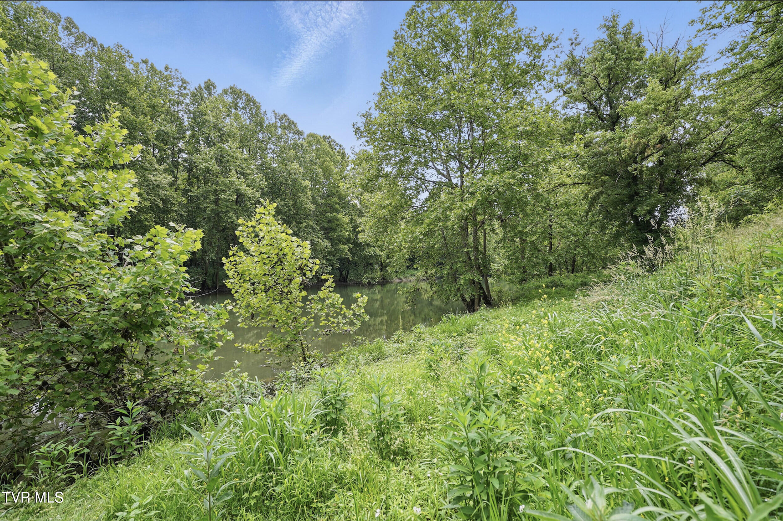 1971 Waters Edge Road Duffield, VA 24244 - Photo 6 of 15 5-arw06293
