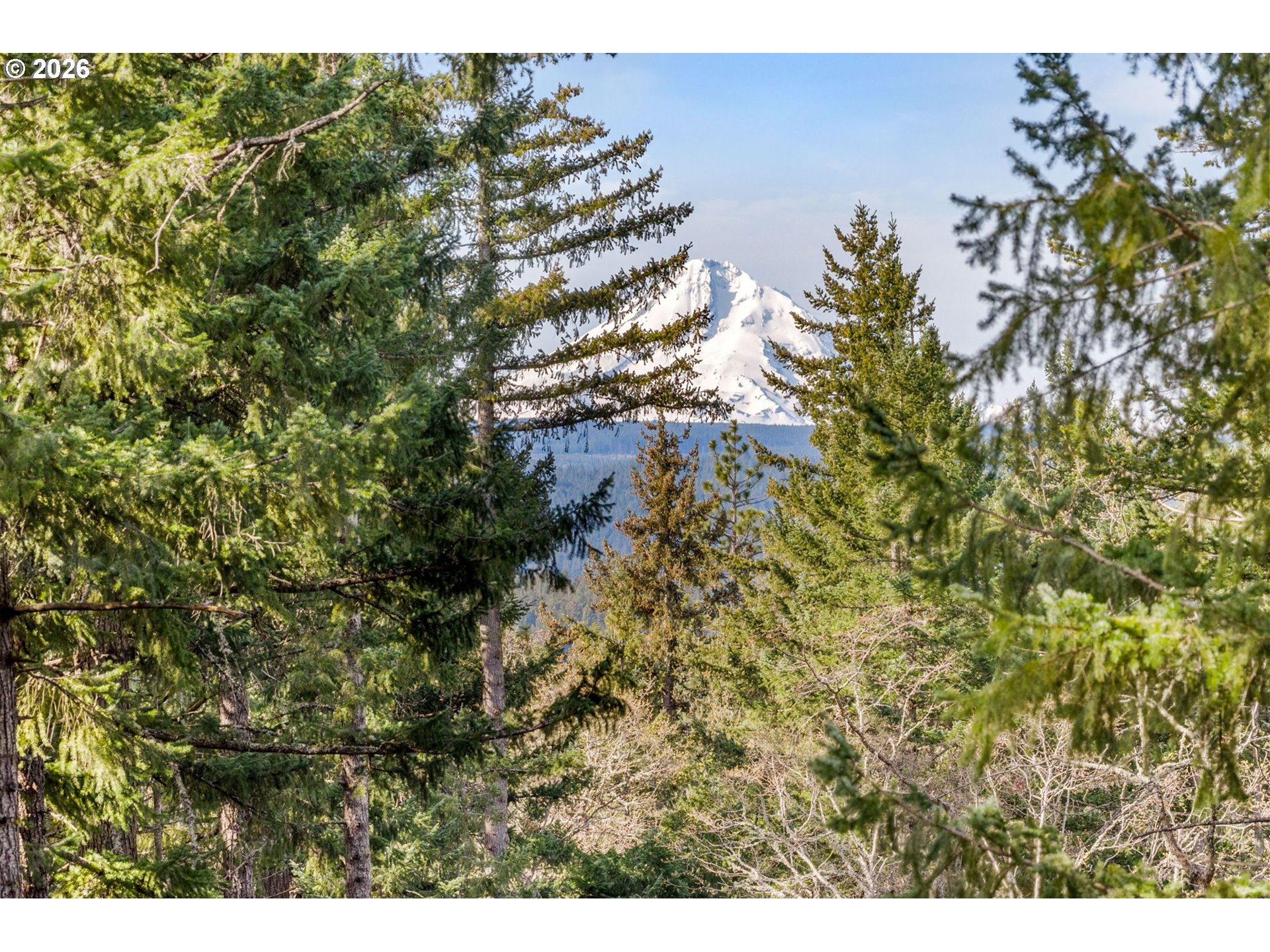 2000 Paradise Ridge Place Mosier, OR 97040 - Photo 32 of 48