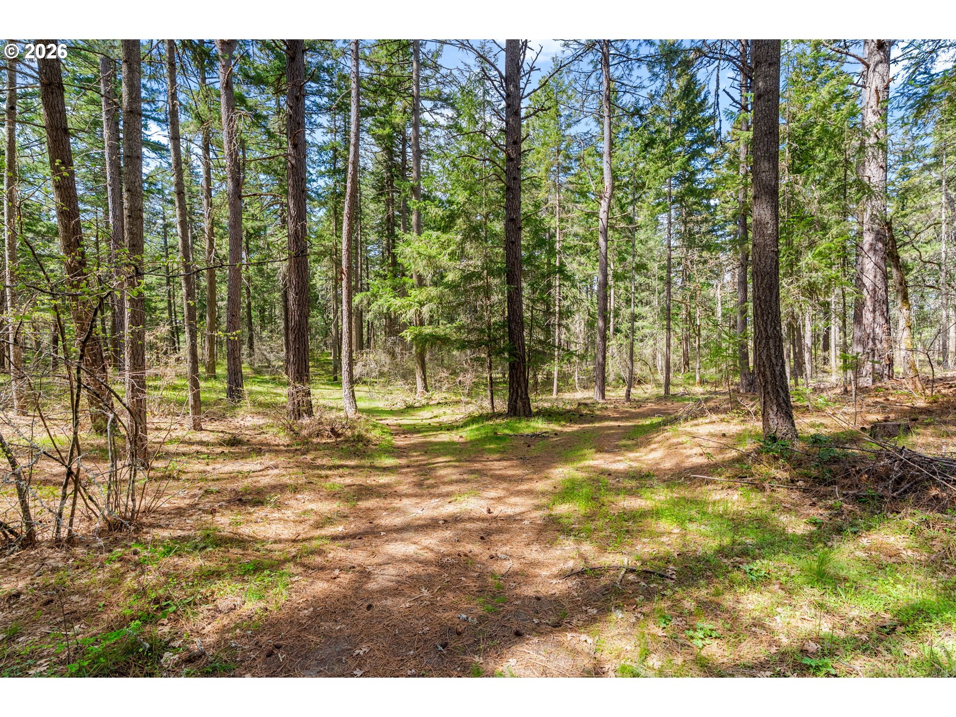 2000 Paradise Ridge Place Mosier, OR 97040 - Photo 48 of 48