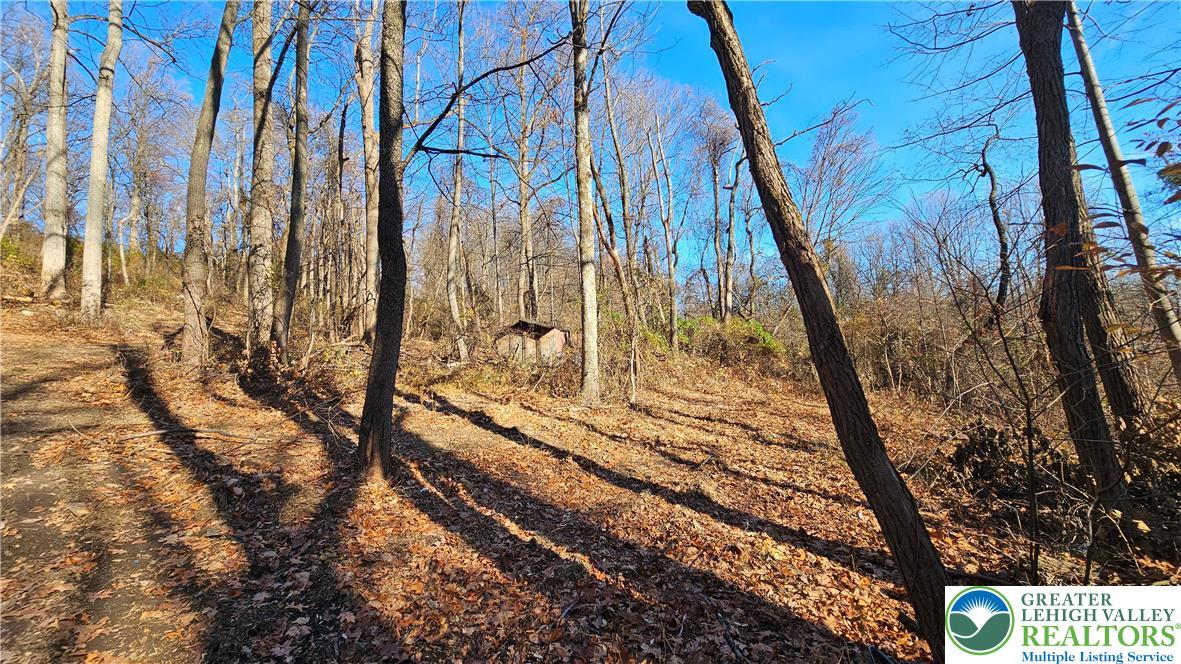 4057 Sherry Hill Road Hellertown, PA 18055 - Photo 13 of 20