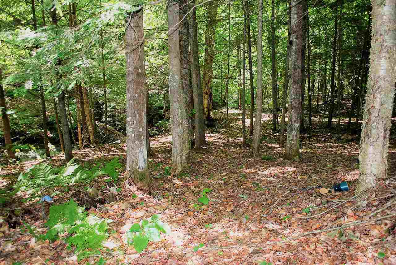 89 Grand Hollow Road Warren, VT 05674 - Photo 30 of 34 Gallery Image 30