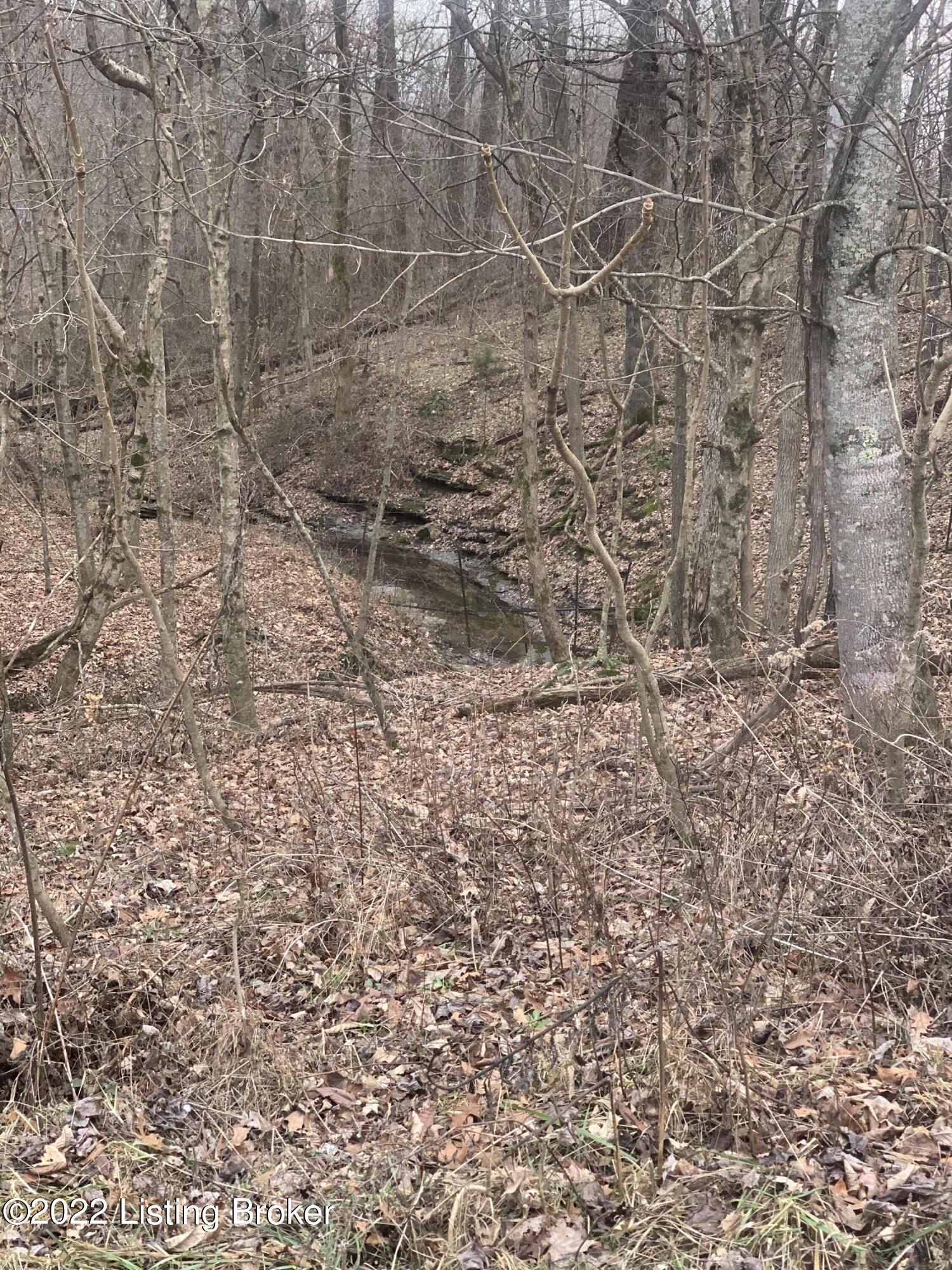 0 Mount Eden Road Russell Springs, KY 42642 - Photo 5 of 8 IMG_1282