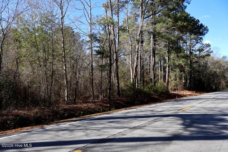 130 Rd Fairmont Nc 28340 Road Rowland, NC 28383 - Photo 3 of 6 IMG_0052