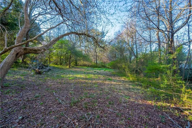 a view of a tree in the middle of a yard