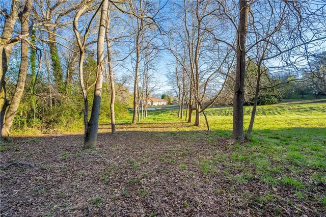 a view of a yard with a tree