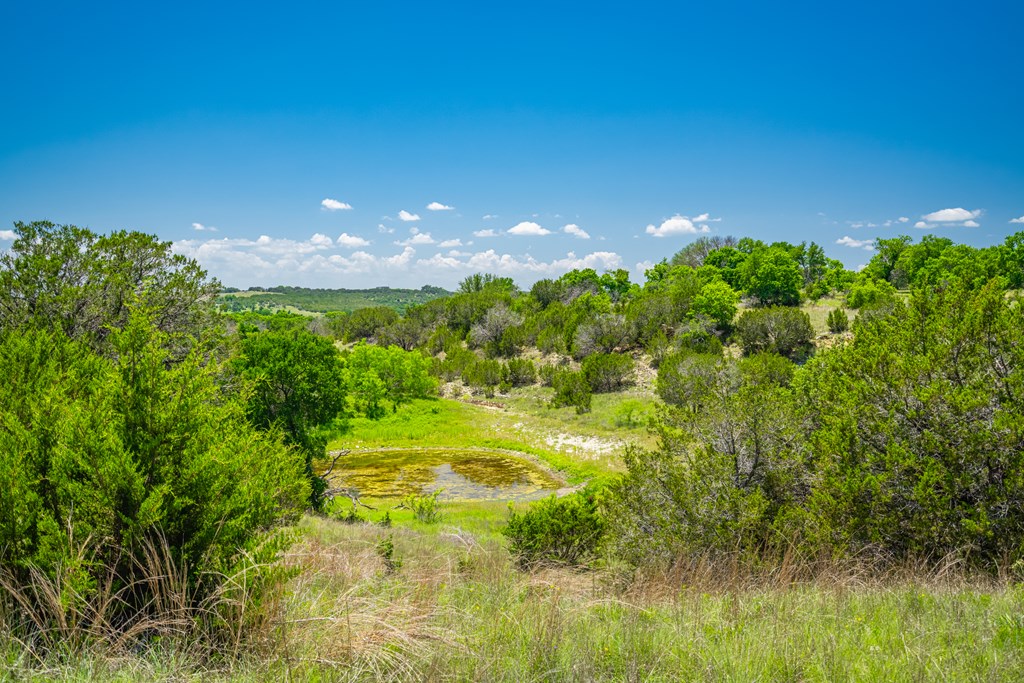 0 County Road Evant, TX 76525 - Photo 25 of 41 a view of a garden