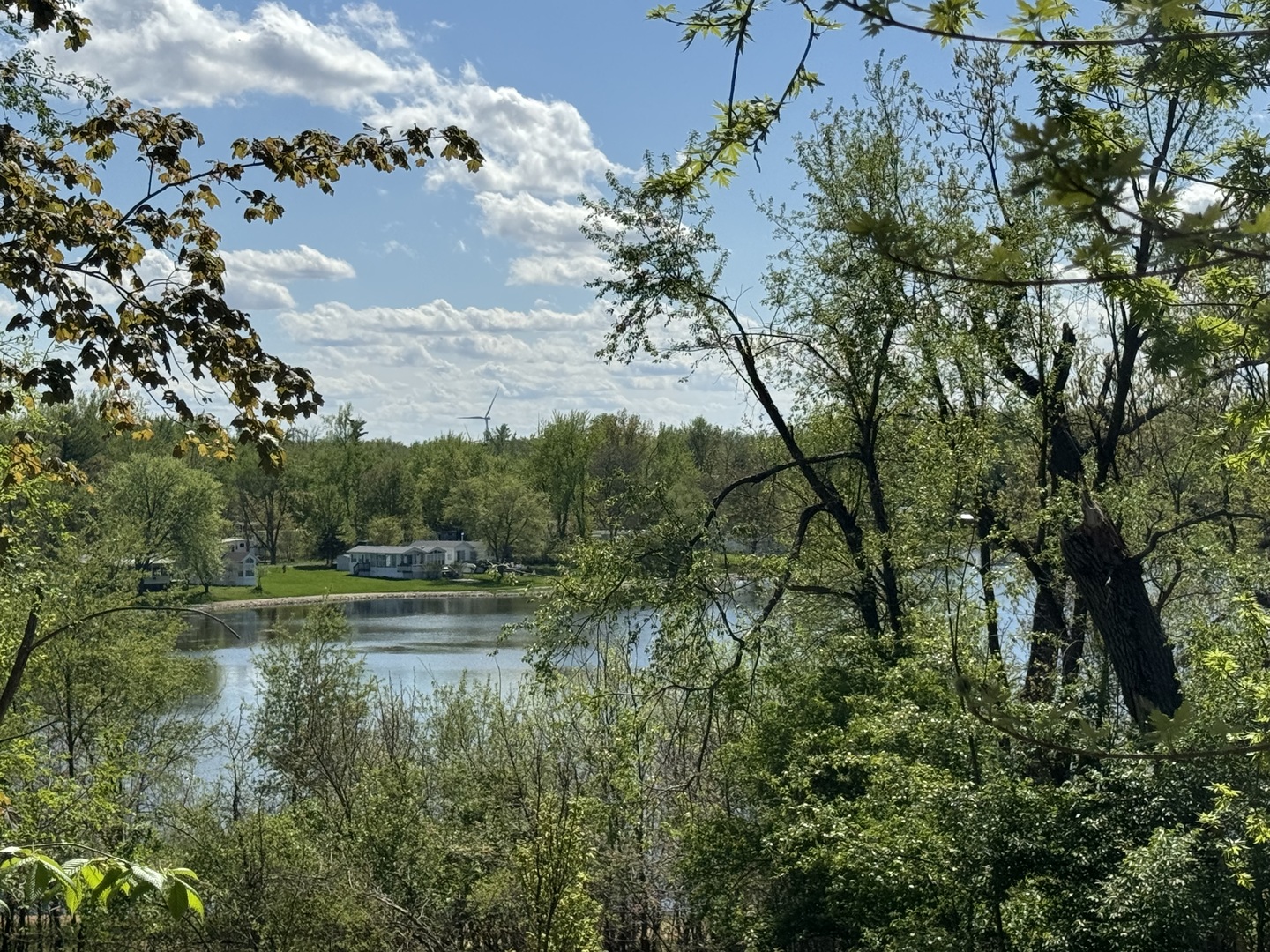 a view of a lake with lots of trees