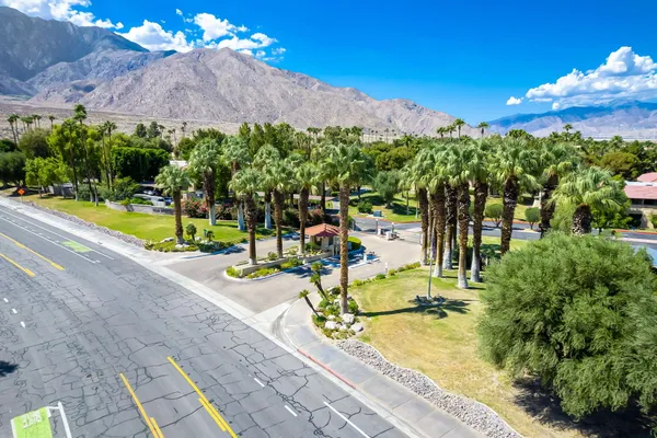 a view of a park with large trees