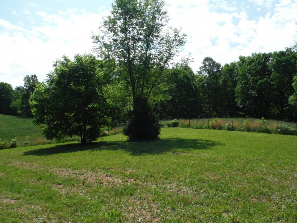 1251 Little Warrensburg Road Midway, TN 37809 - Photo 8 of 14 Photo 8