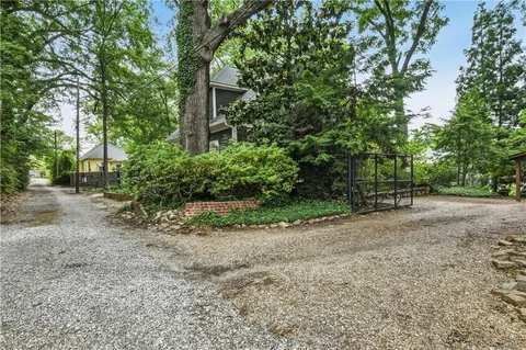 a view of a backyard with plants and large trees