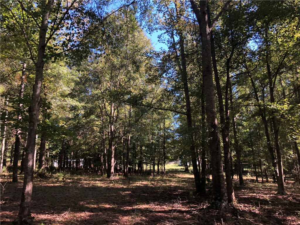 2 Griffin Road Belton, SC 29627 - Photo 8 of 18