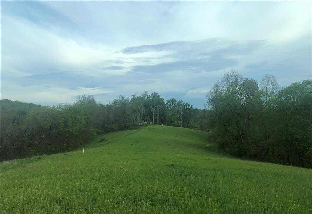 0 Rudolph Run Road Spraggs, PA 15362 - Photo 1 of 12