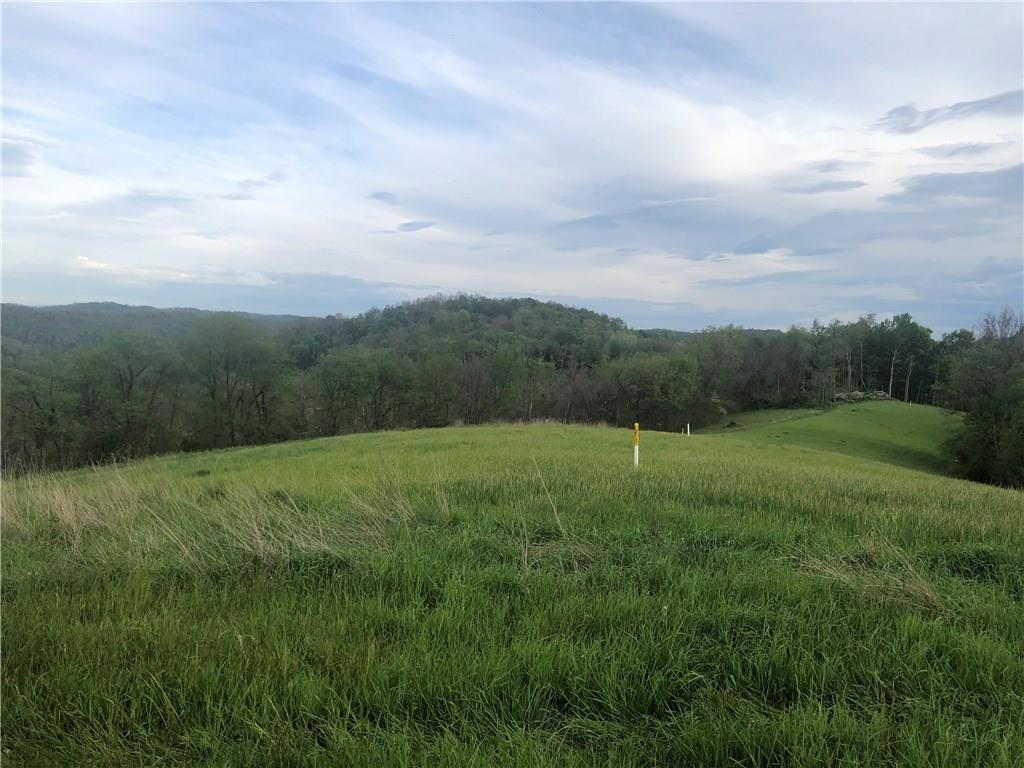 0 Rudolph Run Road Spraggs, PA 15362 - Photo 3 of 12