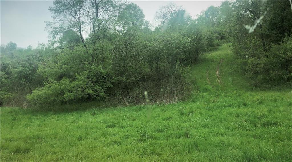 0 Rudolph Run Road Spraggs, PA 15362 - Photo 7 of 12
