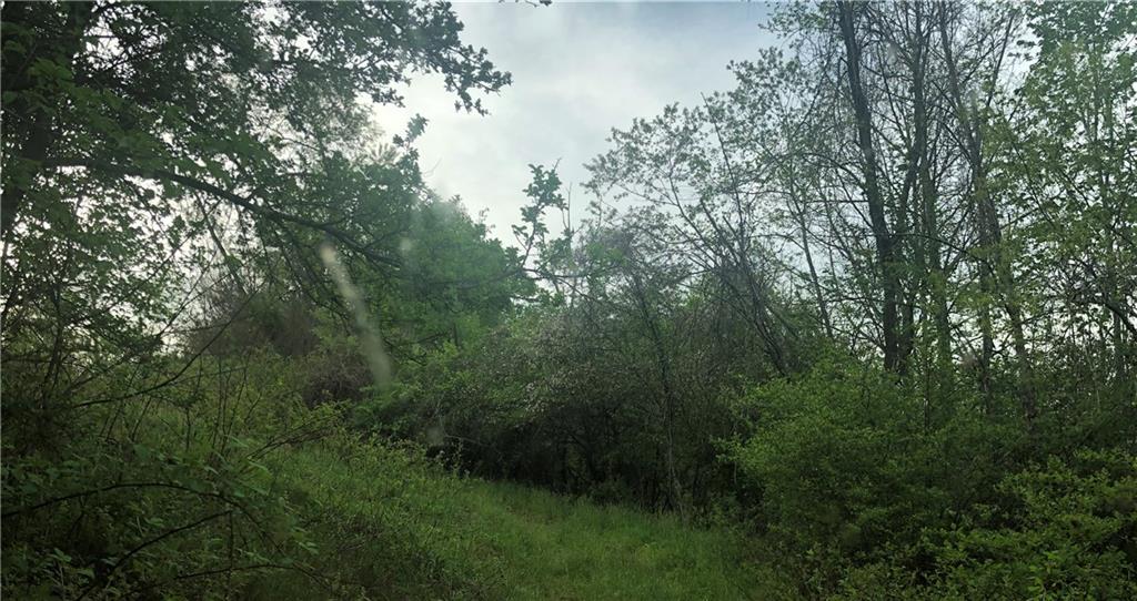 0 Rudolph Run Road Spraggs, PA 15362 - Photo 8 of 12