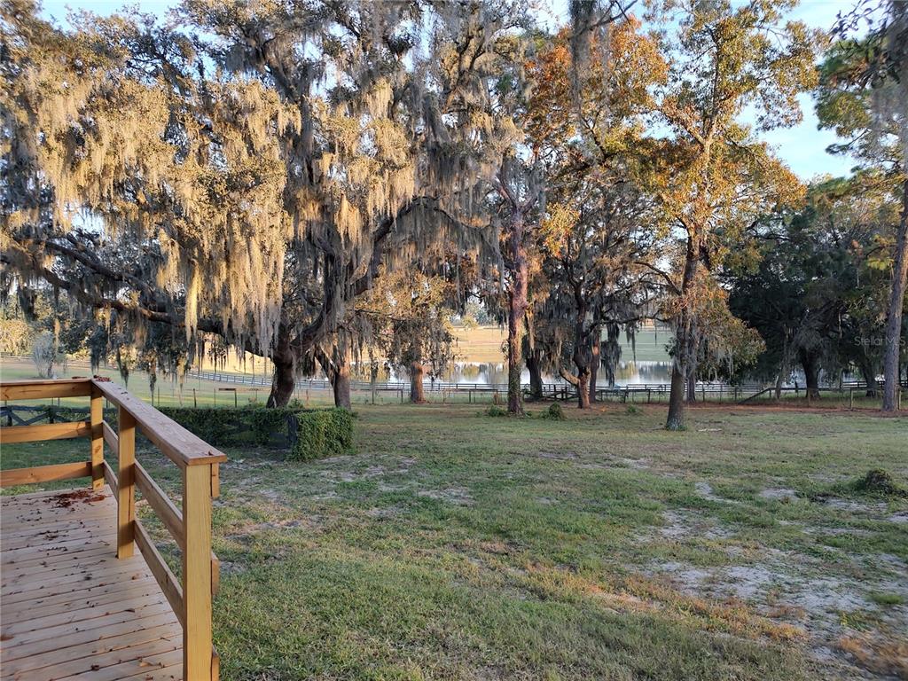 4432 Marion County Road Weirsdale, FL 32195 - Photo 31 of 72